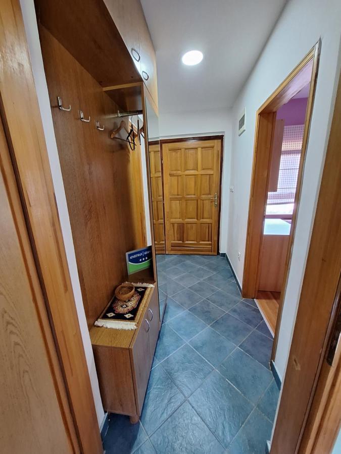 Apartman Sara Pale - Ski Centar Ravna Planina Kültér fotó