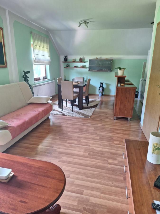 Apartman Sara Pale - Ski Centar Ravna Planina Kültér fotó