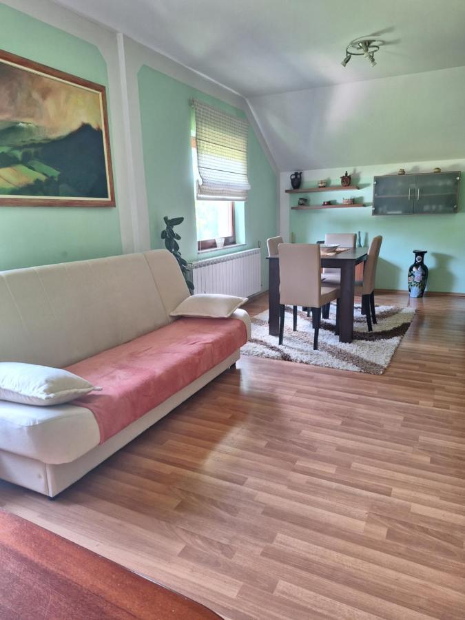 Apartman Sara Pale - Ski Centar Ravna Planina Kültér fotó