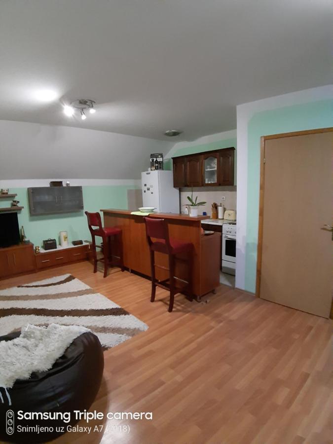 Apartman Sara Pale - Ski Centar Ravna Planina Kültér fotó