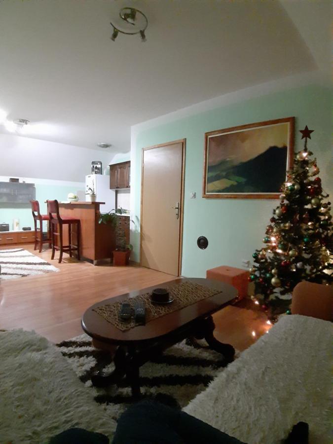 Apartman Sara Pale - Ski Centar Ravna Planina Kültér fotó
